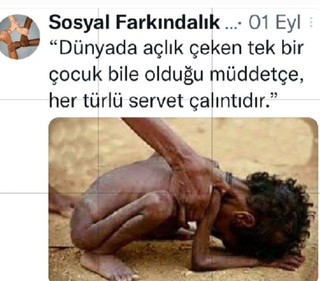 sevilsenyuz1's tweet photo. @serefoguz Biz serpmelere doyamazken... https://t.co/ylVJ3ebq68