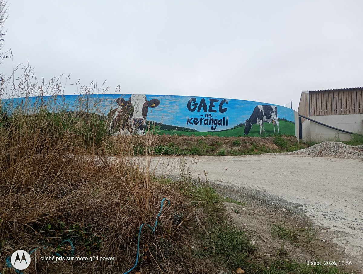 ThiChaplain's tweet photo. Une belle #fresque murale de GuiseArtBZH pour un #GAEC à Glomel. #KreizBreizh. #GuiseArtBzh réalise actuellement une fresque à #Rostrenen pour une entreprise de #Métallurgie donc on voit un #soudeur. https://t.co/iGfVyfGmh8
