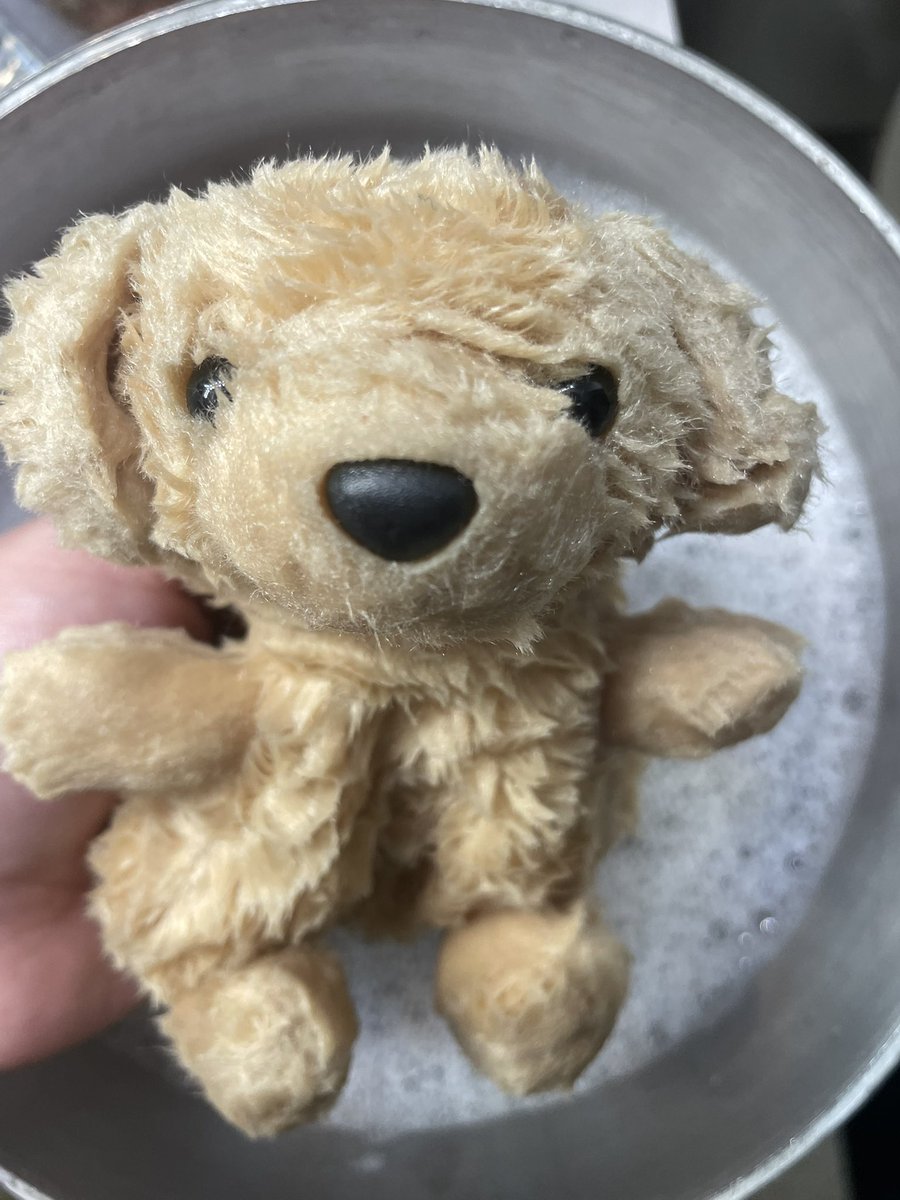 evilsockz's tweet photo. I almost feel bad for him https://t.co/4EYm7CfuQg