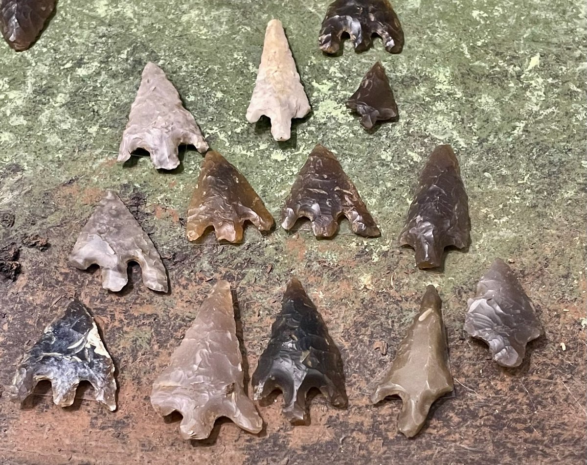 KPW1453's tweet photo. Flint arrowheads from Dunston - an area of early settlement in the Northampton area. Dating from the Neolithic to the early Bronze Age, the arrowheads are part of the collections at Northampton Museum and Art Gallery. 📸 My own. #FlintFriday #Prehistory #Northamptonshire https://t.co/2STkmTOsE4