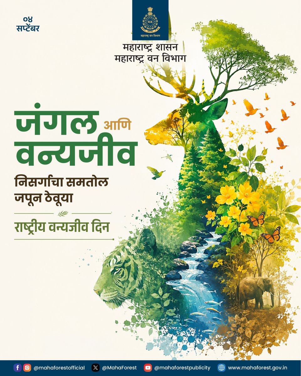 MahaForest's tweet photo. वन्यजीवांचे संरक्षण करूया
निसर्गाचा समतोल जपूया

राष्ट्रीय वन्यजीव दिनाच्या हार्दिक शुभेच्छा!

#वन्यजीवसंवर्धन #NationalWildlifeDay #WildlifeConservation #MahaForest https://t.co/0T45Iu1EO4