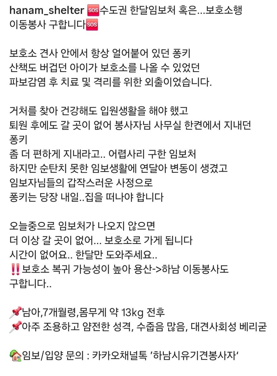 soonmi_dog's tweet photo. 🆘️🆘️긴급공유요청🆘️🆘️

지푸라기라도 잡는 심정입니다!
지금 용산에 있는 퐁키가 당장 내일 시보호소로 돌아가야 한대요

한달이라도 임보해주실 분 있으면 연락부탁드립니다. 이동은 제가 도와드릴 수 있어요!

✔️대견사회성 좋음, 7개월, 수컷, 13kg
🚩임보문의 : 카톡 하남시유기견봉사자 https://t.co/ugQatx31Nd