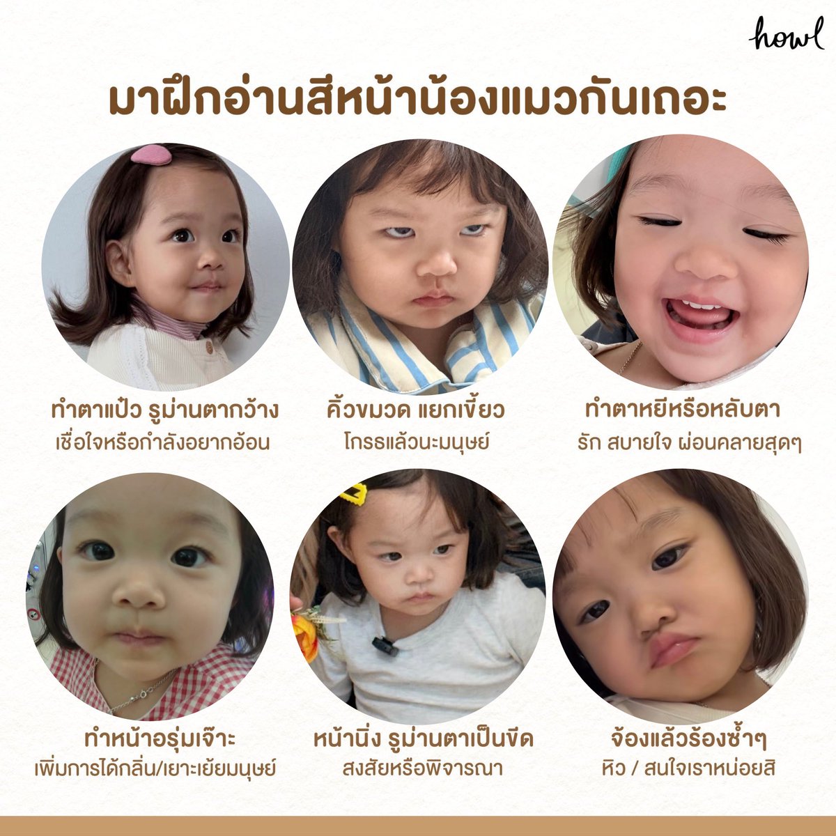 ppolyjenn's tweet photo. คู่มือน้องแมว 101 ₍˄·͈༝·͈˄*₎◞ ̑̑ https://t.co/l0zE0b4FXT