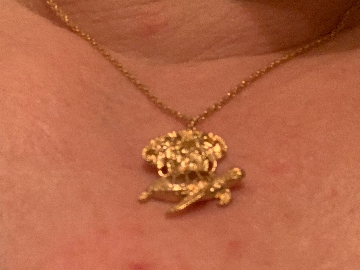 MargretFoerster's tweet photo. @readfulthings_ #metall
Geschenk vom Kinde: Gross-A-Tuin mit den Elefanten und der Scheibenwelt auf dem Rücken als Kettenanhänger.
#discword
#TerryPratchett https://t.co/Mc8rSksYob