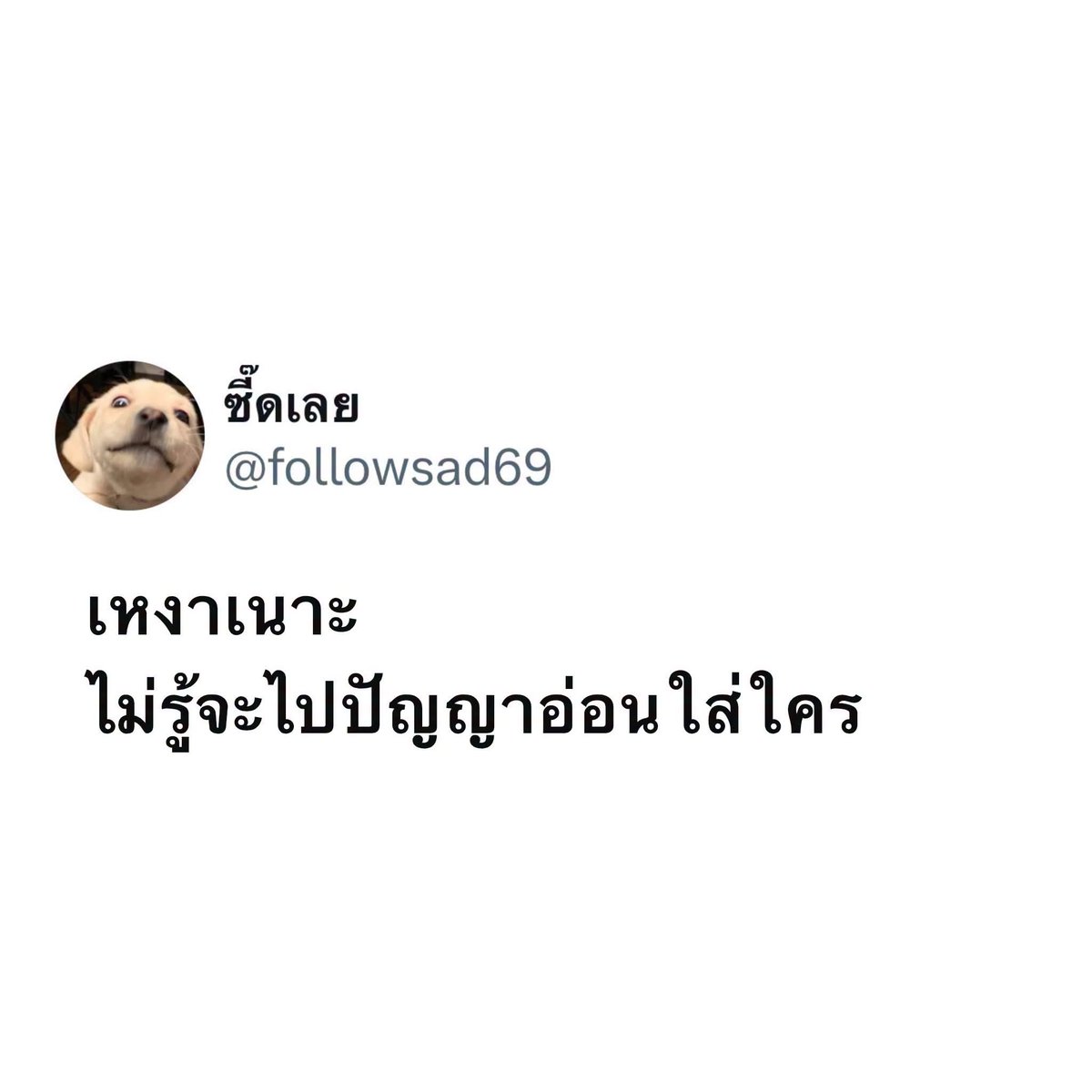 Channkdr's tweet photo. ��ั้นเหงาอ่ะ….
ชั้นกินข้าวคนเดียวมาเกือบสองเดือนแล้วนะโว้ย https://t.co/hj8PpLvuZ1