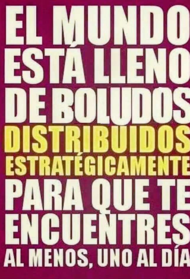 AngelXzon's tweet photo. @AlberCarp4 Ché!. Si éste viejomeao se percibe el chad de los negocios, porqué no arma un partido político y se presenta a elecciones?. Así podría compararse con Milei. Bueno, ya sabemos la respuesta. O sea, si parece un choto y tiene cara de choto, es un choto sin lugar a dudas...🤔💭 https://t.co/DSHoKgRfeG