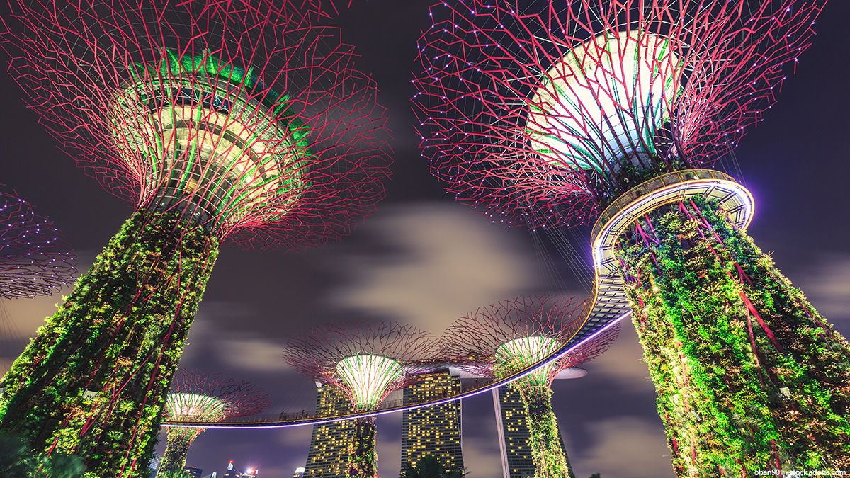 tlife_hd's tweet photo. ／
ANA直行便・ビジネスクラスで行く
シンガポールツアー🇸🇬
＼

マリーナベイサンズの絶景や、グルメ・未来都市の街歩きを満喫！
憧れの「ラッフルズシンガポール」にご宿泊✨

9/30までは「もっと！海外割」でお得🉐

▼シンガポール旅行を探す▼
https://t.co/In15eCitEO

#シンガポール #海外旅行 https://t.co/KJXTcvhh07