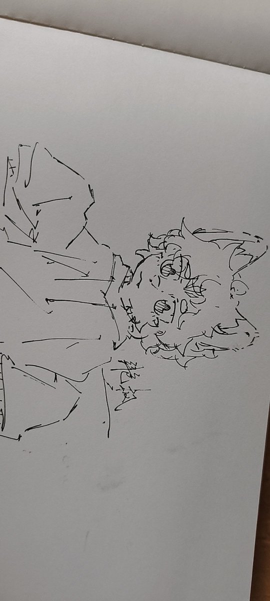 Bai_Si_'s tweet photo. 发点随手画的（？） https://t.co/aEMF7s6QqB