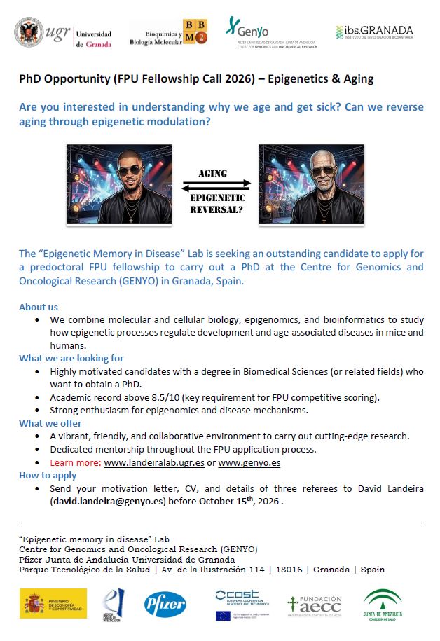genyo_pts's tweet photo. 🔬 2 opportunities in Epigenetics &amp; Aging at #GENyO!

🧬 Epigenetic Memory in Disease Lab

➡️ FPI: fully funded 4-year PhD contract
➡️ FPU 2026: candidate sought to apply for a predoctoral fellowship

📍 Granada, Spain
📅 Deadline: Oct 15, 2026
📩 david.landeira@genyo.es https://t.co/wjUrqi6JKH