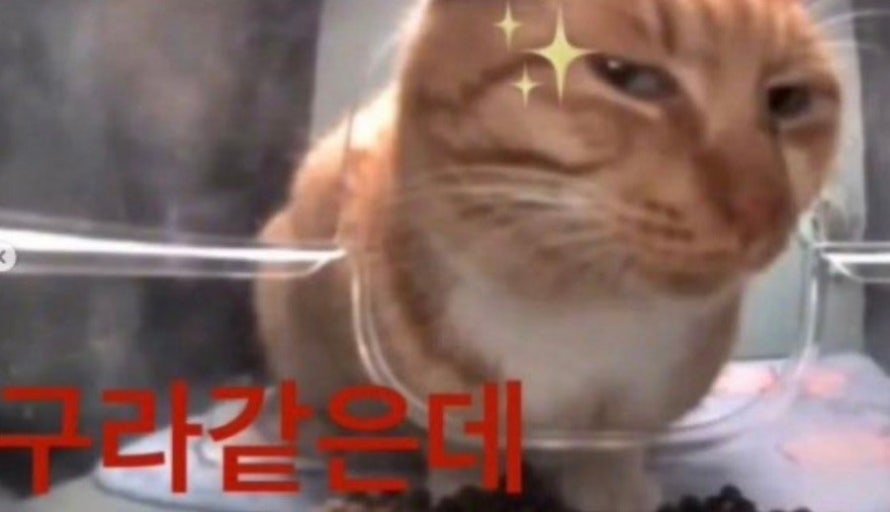 sb6571 tweet picture