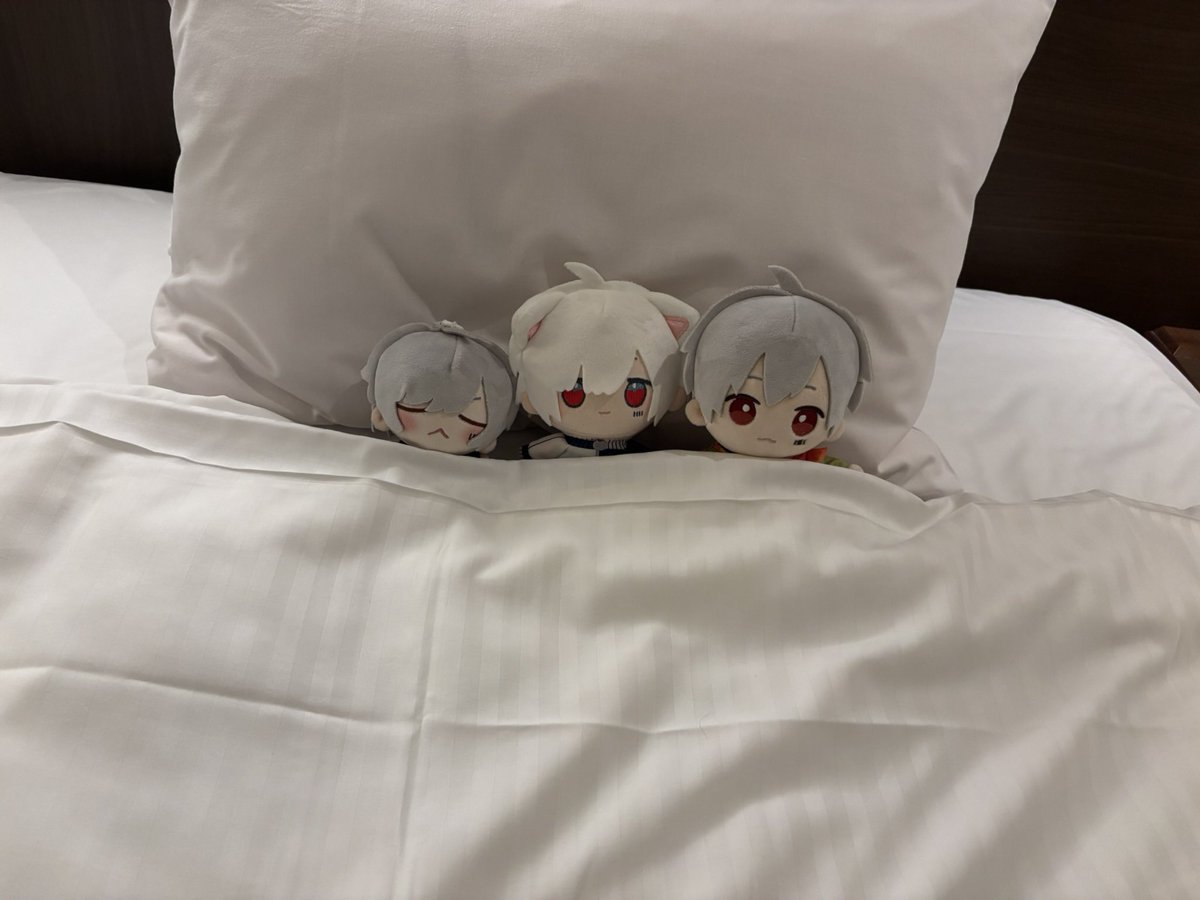 flyd_potato's tweet photo. 最後に、ホテルで撮ったぬい達の写真を供養しておきます
左から
画面の中の本人から見られているまぬ、スヤスヤまぬｽﾞ、椅子占領まぬ、全てがぼやけた結果ラスボスみたいになったまぬ、となっております https://t.co/izqOehLAh2
