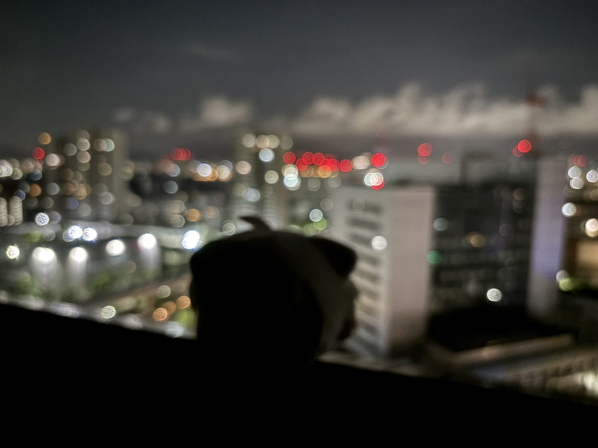 flyd_potato's tweet photo. 最後に、ホテルで撮ったぬい達の写真を供養しておきます
左から
画面の中の本人から見られているまぬ、スヤスヤまぬｽﾞ、椅子占領まぬ、全てがぼやけた結果ラスボスみたいになったまぬ、となっております https://t.co/izqOehLAh2