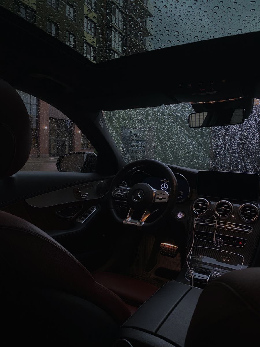 spooky_nature's tweet photo. rainy day. https://t.co/zGzSyrcerY