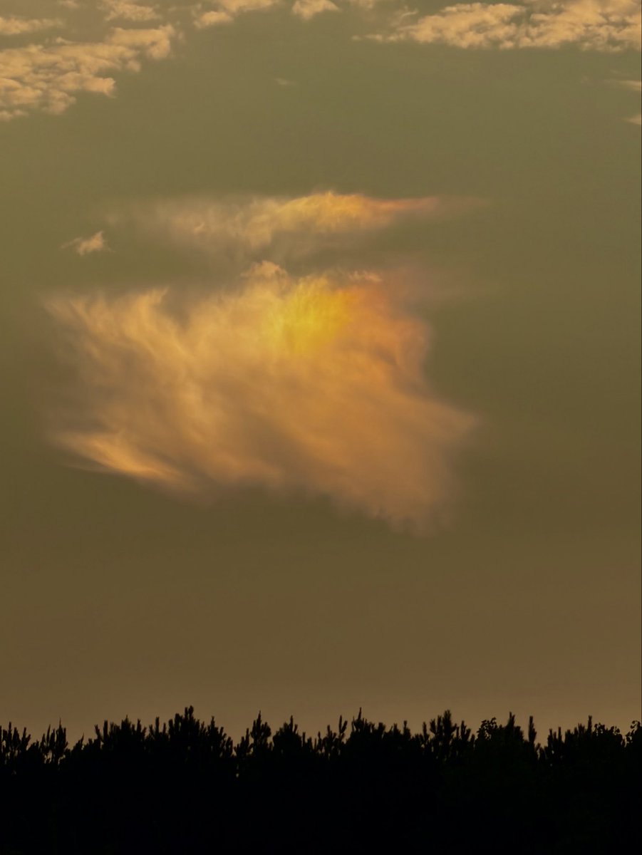 emor7443's tweet photo. This was yesterday’s sunrise. It was glorious, but my eye was mentally zoned in on one little cloud. I think it’s such a cool cloud! I know, weird.🤷🏼‍♀️ https://t.co/c3Ki3qEkdM