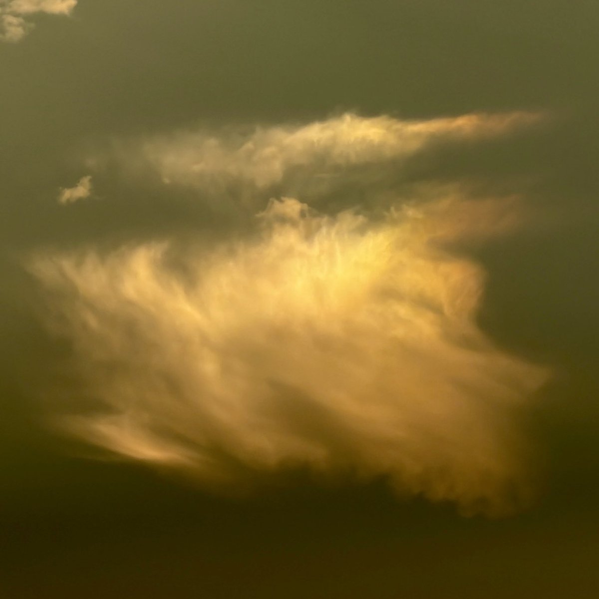 emor7443's tweet photo. This was yesterday’s sunrise. It was glorious, but my eye was mentally zoned in on one little cloud. I think it’s such a cool cloud! I know, weird.🤷🏼‍♀️ https://t.co/c3Ki3qEkdM