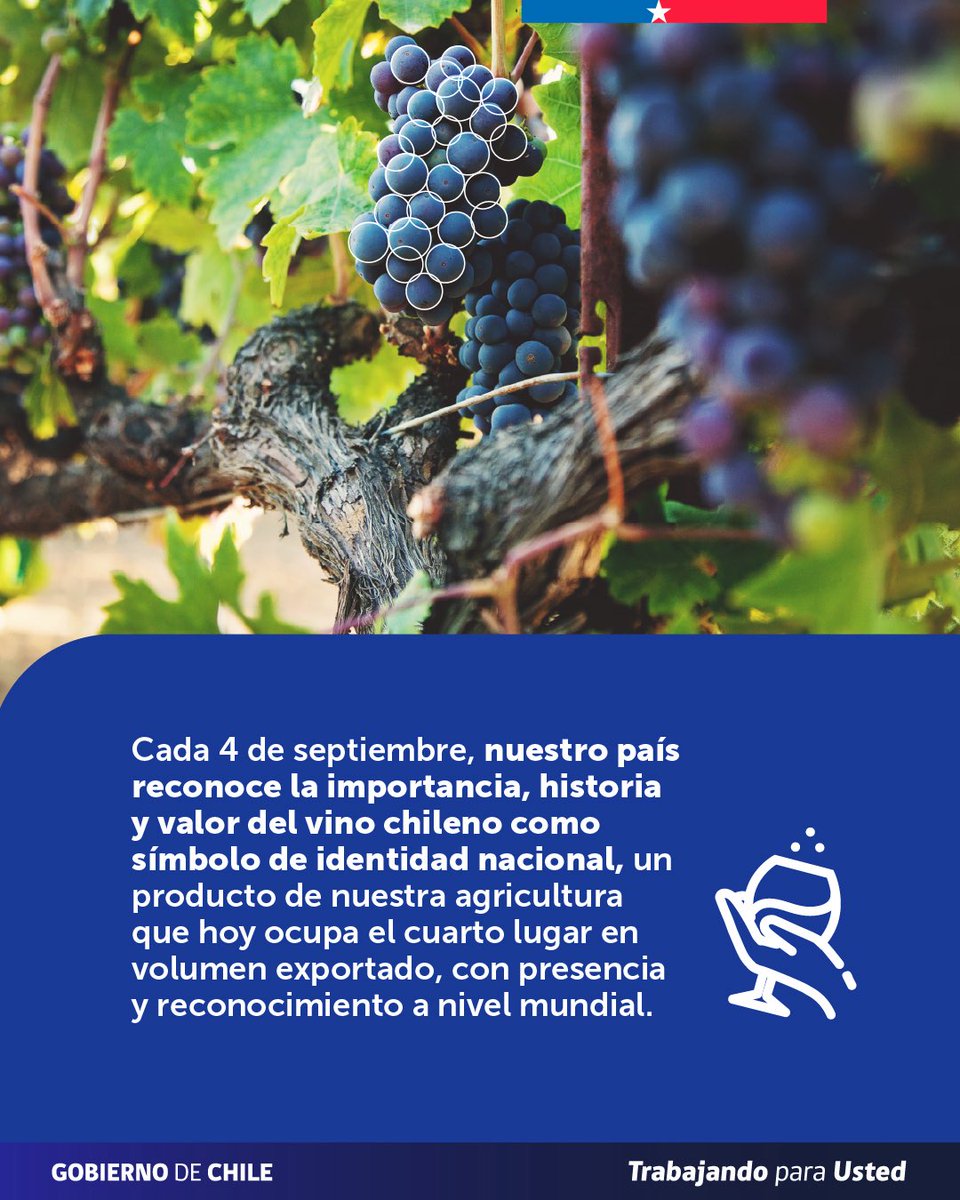 MinagriCL's tweet photo. 🍷🇨🇱 Hoy celebramos el vino chileno, parte de nuestra historia, identidad y agricultura.

🍇Un sector estratégico para el desarrollo de nuestros territorios, que avanza con pilares como la calidad, innovación y sostenibilidad, llevando lo mejor de Chile al mundo. https://t.co/9cdvWya8N7