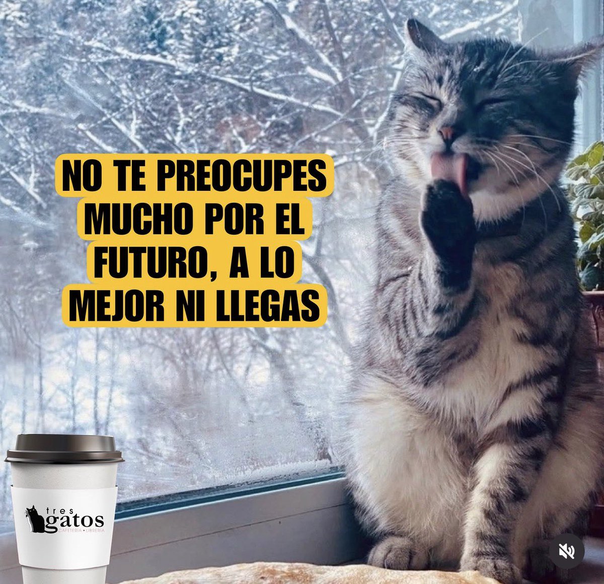 daphnella's tweet photo. Buenos días https://t.co/rIoXiK16tL