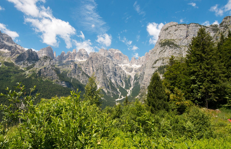 unipr's tweet photo. Sempre meno piante tipiche ad alta quota per il #riscaldamentoclimatico: uno studio su @ScienceMagazine guidato dalla #UniversitàdiVienna col contributo del gruppo di ricerca in Geobotanica ed Ecologia vegetale #unipr
#ricerca #parma
https://t.co/Ag4m5TClUz https://t.co/cPiu4yGjHf