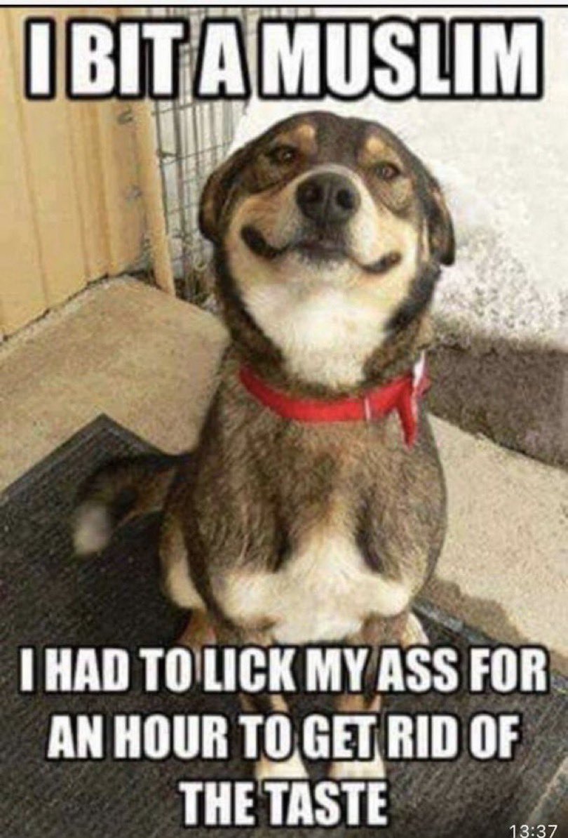RogerBernards's tweet photo. I am a little uneasy around people who don’t like dogs.  However, when a dog doesn’t like them, I know they’re bad!!
Islam is like that!! https://t.co/eliE0A51or