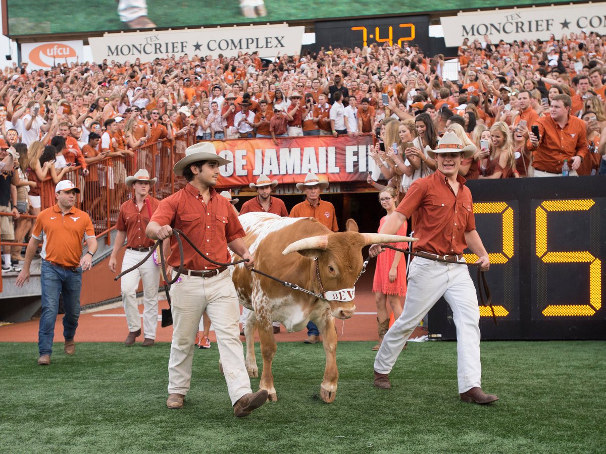TexasFootball's tweet photo. Bevo's DKR debut, 10 years ago today 🥹

@TexasMascot https://t.co/II8ci6XoYX