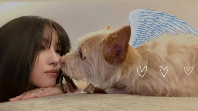 godmitzu's tweet photo. MOMO WITH BOO AND DOBBY https://t.co/hOQaxu4p6V
