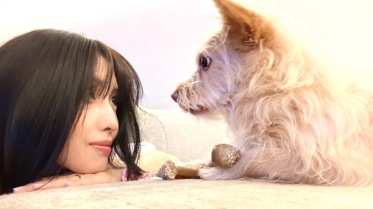 godmitzu's tweet photo. MOMO WITH BOO AND DOBBY https://t.co/hOQaxu4p6V