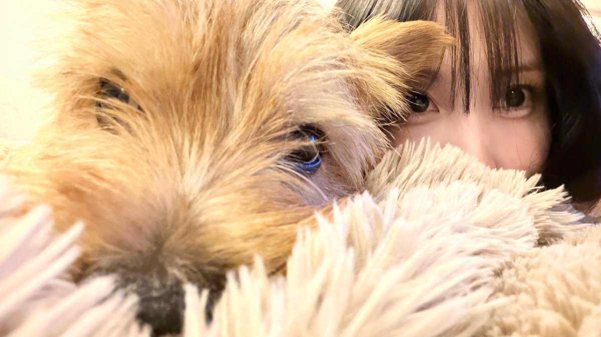 godmitzu's tweet photo. MOMO WITH BOO AND DOBBY https://t.co/hOQaxu4p6V