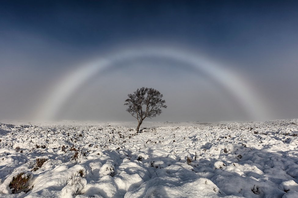 astro4pics's tweet photo. Did you know? 

A fogbow, sometimes called a white rainbow, forms when sunlight passes through tiny droplets of fog. 

The droplets are so small that the usual rainbow colors blend together, leaving a pale, almost colorless arc. Unlike a normal rainbow, the bow looks ghostly and soft, often appearing over mist, cloud or sea fog.