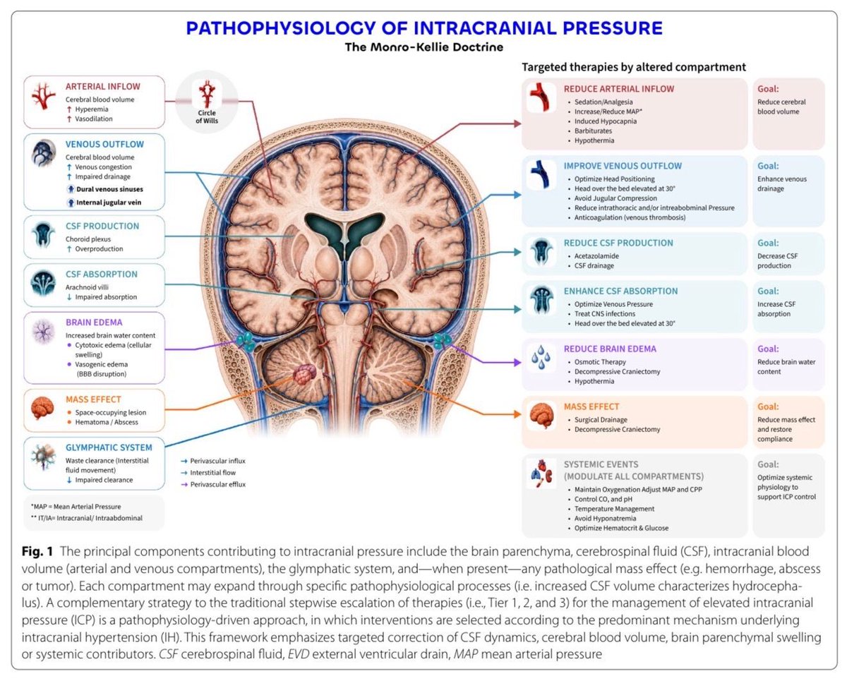 MarlonVFZR's tweet photo. 🧠𝐏𝐫𝐞𝐬𝐢𝐨́𝐧 𝐢𝐧𝐭𝐫𝐚𝐜𝐫𝐚𝐧𝐞𝐚𝐥💥
@SpringerNature 
👇🏼👇🏼👇🏼👇🏼
📑🔗🔑🔓
https://t.co/89ht2mBRSA
⬇️⬇️⬇️⬇️
🧵👇

La revisión propone abandonar el enfoque puramente 𝐢𝐦𝐩𝐮𝐥𝐬𝐚𝐝𝐨 𝐩𝐨𝐫 𝐞𝐥 𝐮𝐦𝐛𝐫𝐚𝐥.

📌 ICP normal: 𝟓–𝟏𝟓 𝐦𝐦𝐇𝐠
📌 En TCE, el umbral clásico sigue siendo >𝟐𝟐 𝐦𝐦𝐇𝐠

Pero la tolerancia depende también de:

⏱️ duración
🧠 compliance
🩸 autorregulación
📍 tipo de lesión cerebral

🔥 𝟐𝟑 𝐦𝐦𝐇𝐠 𝐧𝐨 𝐬𝐢𝐠𝐧𝐢𝐟𝐢𝐜𝐚𝐧 𝐥𝐨 𝐦𝐢𝐬𝐦𝐨 𝐞𝐧 𝐭𝐨𝐝𝐨𝐬 𝐥𝐨𝐬 𝐩𝐚𝐜𝐢𝐞𝐧𝐭𝐞𝐬.

⏱️📈 𝐈𝐦𝐩𝐨𝐫𝐭𝐚 𝐥𝐚 “𝐝𝐨𝐬𝐢𝐬” 𝐝𝐞 𝐡𝐢𝐩𝐞𝐫𝐭𝐞𝐧𝐬𝐢𝐨́𝐧 𝐢𝐧𝐭𝐫𝐚𝐜𝐫𝐚𝐧𝐞𝐚𝐥

El concepto de 𝐂𝐚𝐫𝐠𝐚 𝐝𝐞 𝐈𝐂𝐏 integra:

𝐦𝐚𝐠𝐧𝐢𝐭𝐮𝐝 × 𝐝𝐮𝐫𝐚𝐜𝐢𝐨́𝐧

Así:

⚠️ ICP 𝟏𝟖–𝟐𝟎 𝐦𝐦𝐇𝐠 𝐝𝐮𝐫𝐚𝐧𝐭𝐞 𝐡𝐨𝐫𝐚𝐬 puede ser tan relevante como una elevación mayor pero breve.

👉 El cerebro no responde a un interruptor binario de 22 mmHg.

🔥 La tendencia y la exposición acumulada pueden ser más informativas que el pico aislado.

🌊🧠 𝐋𝐚 𝐨𝐧𝐝𝐚 𝐝𝐞 𝐈𝐂𝐏 𝐩𝐮𝐞𝐝𝐞 𝐚𝐝𝐯𝐞𝐫𝐭𝐢𝐫 𝐩𝐞́𝐫𝐝𝐢𝐝𝐚 𝐝𝐞 𝐫𝐞𝐬𝐞𝐫𝐯𝐚 𝐚𝐧𝐭𝐞𝐬 𝐝𝐞 𝐪𝐮𝐞 𝐬𝐮𝐛𝐚 𝐥𝐚 𝐦𝐞𝐝𝐢𝐚

La morfología importa:

✅ 𝐏𝟐/𝐏𝟏 <𝟏 → reserva compensatoria más preservada
⚠️ 𝐏𝟐/𝐏𝟏 >𝟏 → compliance reducida
🚨 𝐏𝟐/𝐏𝟏 >𝟏,𝟒 o morfología triangular → deterioro importante de la reserva

Además, un 𝐑𝐀𝐏 𝐜𝐞𝐫𝐜𝐚𝐧𝐨 𝐚 +𝟏 sugiere agotamiento compensatorio.

🔥 No basta preguntar “¿cuánto es la ICP?”; hay que preguntar “¿𝐜𝐮𝐚́𝐧𝐭𝐚 𝐫𝐞𝐬𝐞𝐫𝐯𝐚 𝐢𝐧𝐭𝐫𝐚𝐜𝐫𝐚𝐧𝐞𝐚𝐥 𝐪𝐮𝐞𝐝𝐚?”

🩸🎯 𝐂𝐏𝐏 𝐟𝐢𝐣𝐚 𝐩𝐚𝐫𝐚 𝐭𝐨𝐝𝐨𝐬 𝐭𝐚𝐦𝐩𝐨𝐜𝐨 𝐞𝐬 𝐟𝐢𝐬𝐢𝐨𝐥𝐨𝐠𝐢́𝐚 𝐩𝐞𝐫𝐬𝐨𝐧𝐚𝐥𝐢𝐳𝐚𝐝𝐚

El 𝐏𝐑𝐱 permite estimar una 𝐂𝐏𝐏 𝐨́𝐩𝐭𝐢𝐦𝐚 𝐢𝐧𝐝𝐢𝐯𝐢𝐝𝐮𝐚𝐥 (𝐂𝐏𝐏𝐨𝐩𝐭).

📉 permanecer por debajo de CPPopt se ha asociado con peor pronóstico.

Pero elevar la PAM indiscriminadamente puede:

📈 aumentar flujo pasivo
📈 elevar volumen sanguíneo cerebral
📈 empeorar edema e ICP si la autorregulación está alterada

👉 La misma PAM puede beneficiar a un paciente y perjudicar a otro.

🔥 𝐂𝐏𝐏 𝐨𝐛𝐣𝐞𝐭𝐢𝐯𝐨 = 𝐬𝐢𝐦𝐩𝐥𝐞𝐦𝐞𝐧𝐭𝐞 “𝟔𝟎–𝟕𝟎 𝐦𝐦𝐇𝐠 𝐩𝐚𝐫𝐚 𝐭𝐨𝐝𝐨𝐬”.

🎯 𝐌𝐚𝐧𝐞𝐣𝐨 𝐦𝐨𝐝𝐞𝐫𝐧𝐨: 𝐭𝐫𝐚𝐭𝐚𝐫 𝐞𝐥 𝐦𝐞𝐜𝐚𝐧𝐢𝐬𝐦𝐨, 𝐧𝐨 𝐬𝐨𝐥𝐨 𝐞𝐥 𝐦𝐨𝐧𝐢𝐭𝐨𝐫

La revisión propone integrar:

🧠 ICP y compliance
🩸 autorregulación / CPPopt
👁️ ONSD y pupillometría
🌊 TCD
🧪 PbtO₂ y microdiálisis
⚡ EEG
🤖 análisis avanzado/IA

Y dirigir la terapia según la causa:

💧 hidrocefalia → drenaje de LCR
🧠 edema → osmoterapia
🩸 hiperemia → control de PaCO₂ / perfusión
🔵 congestión venosa → mejorar retorno venoso
🔥 fiebre, dolor, agitación o convulsiones → reducir demanda metabólica

🔥 𝐌𝐞𝐧𝐬𝐚𝐣𝐞 𝐟𝐢𝐧𝐚𝐥: la hipertensión intracraneal es un síndrome dinámico. El objetivo ya no es solo bajar la ICP, sino 𝐢𝐝𝐞𝐧𝐭𝐢𝐟𝐢𝐜𝐚𝐫 𝐩𝐨𝐫 𝐪𝐮𝐞́ 𝐞𝐬𝐭𝐚́ 𝐚𝐥𝐭𝐚 𝐲 𝐪𝐮𝐞́ 𝐟𝐢𝐬𝐢𝐨𝐥𝐨𝐠𝐢́𝐚 𝐜𝐞𝐫𝐞𝐛𝐫𝐚𝐥 𝐞𝐬𝐭𝐚́ 𝐟𝐚𝐥𝐥𝐚𝐧𝐝𝐨.

📌𝙂𝙪𝙖𝙧𝙙𝙖 𝙥𝙖𝙧𝙖 𝙩𝙪 𝙥𝙧𝙤́𝙭𝙞𝙢𝙖 𝙜𝙪𝙖𝙧𝙙𝙞𝙖❤️

📚📖 Más en 𝕏 @MarlonVFZR y en el blog 👉 [https://t.co/wbCJFKHCXL]

‼️Si te sirve: ❤️ Me gusta | 🔁 Repost | ➕ Follow para más👇🏼👇🏼👇🏼👇🏼
📚📖#ClubCrit👨🏻‍⚕️👨🏻‍🏫🧠🫶

#ICP #NeurocriticalCare

#FOAMed #FOAMcc #CriticalCare #CriticalCare #CuidadoCritico #MedTwitter #MedX #IntensiveCare #MedXCommunity #MedED