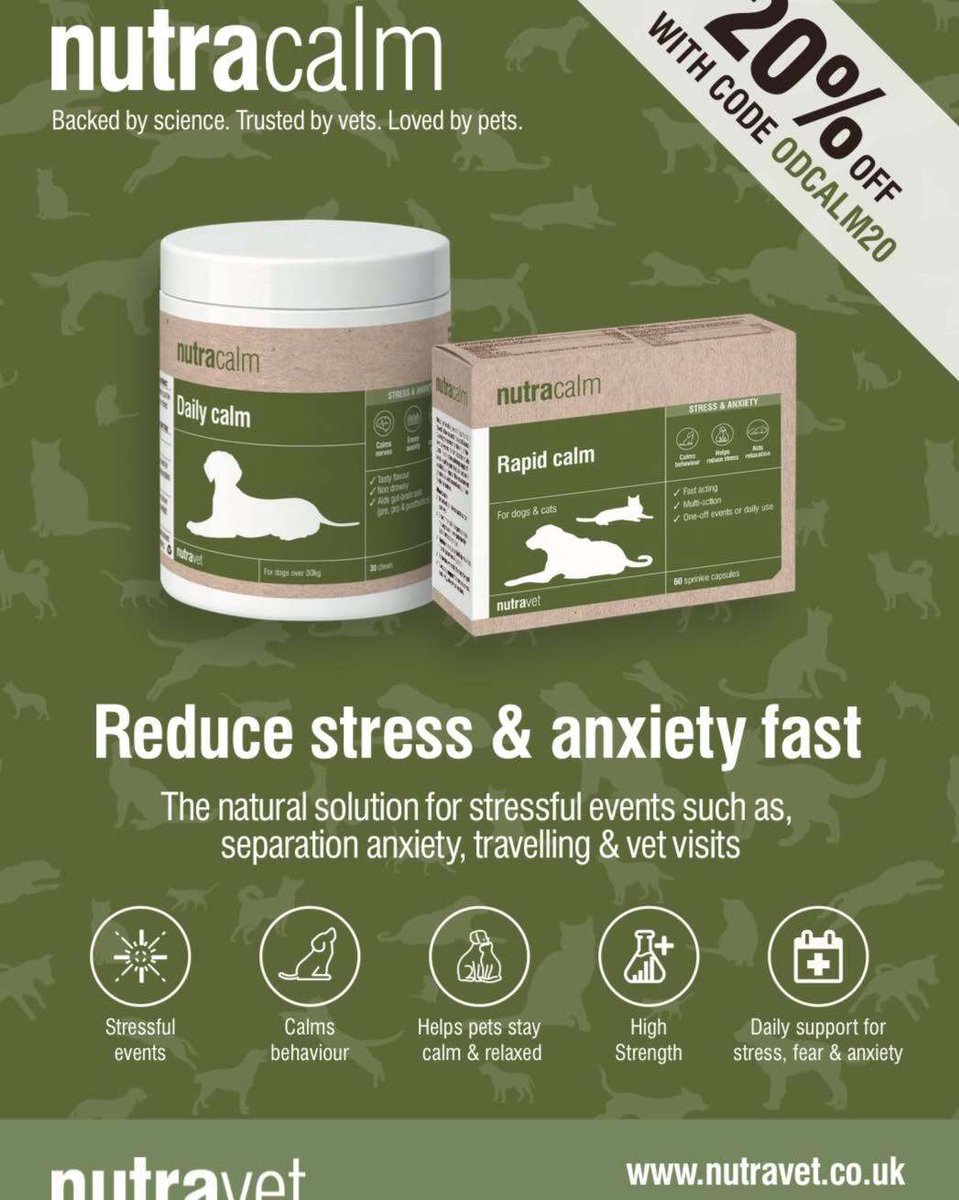 OURDOGSNEWS tweet picture
