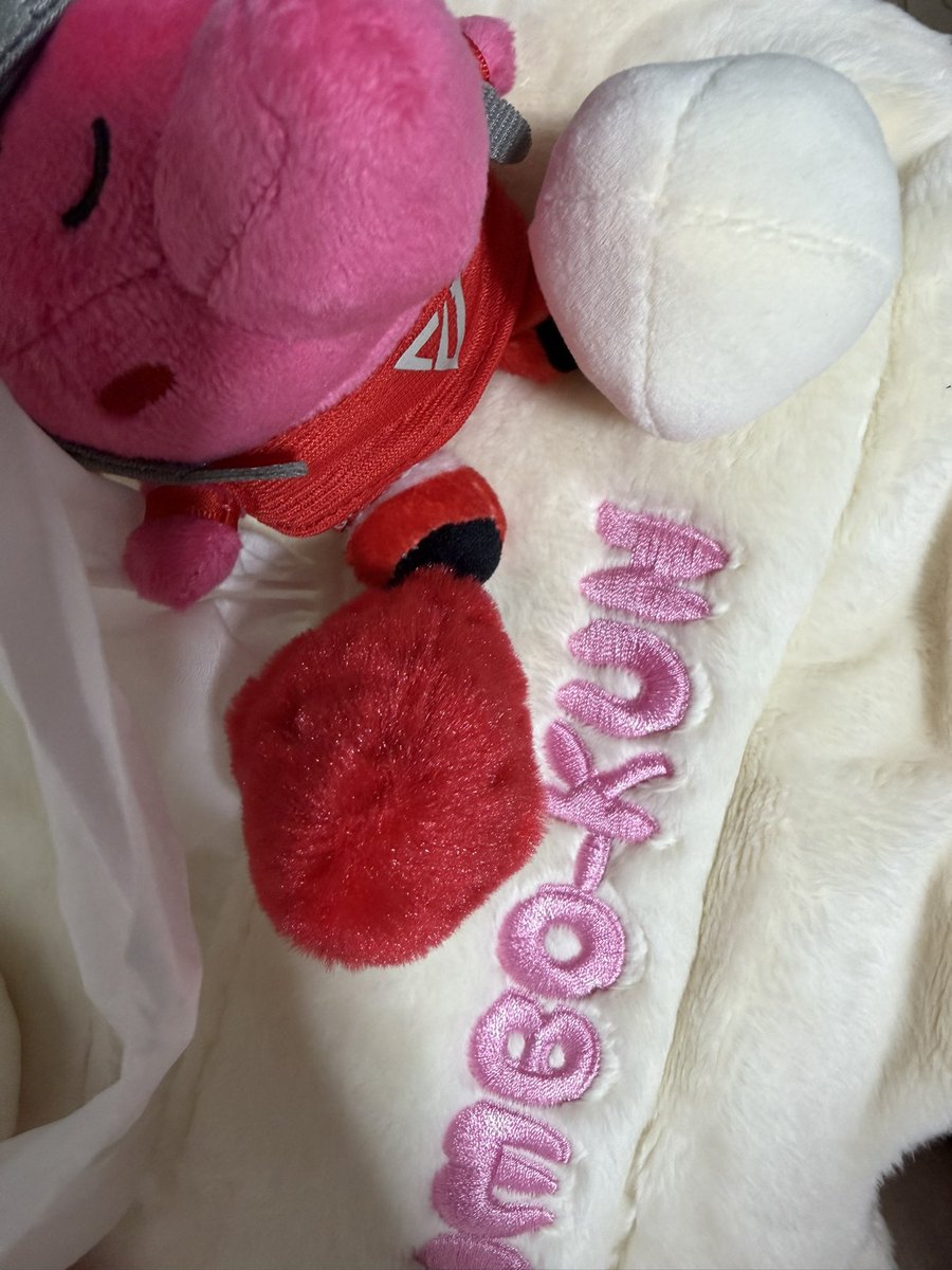 Km37s2GR's tweet photo. 特典ジャンボくんティッシュカバーとフード付きタオルにした！かわいい！
これでボロボロ箱ティッシュとおさらばできるぜ！ https://t.co/tYv7zSUWUi