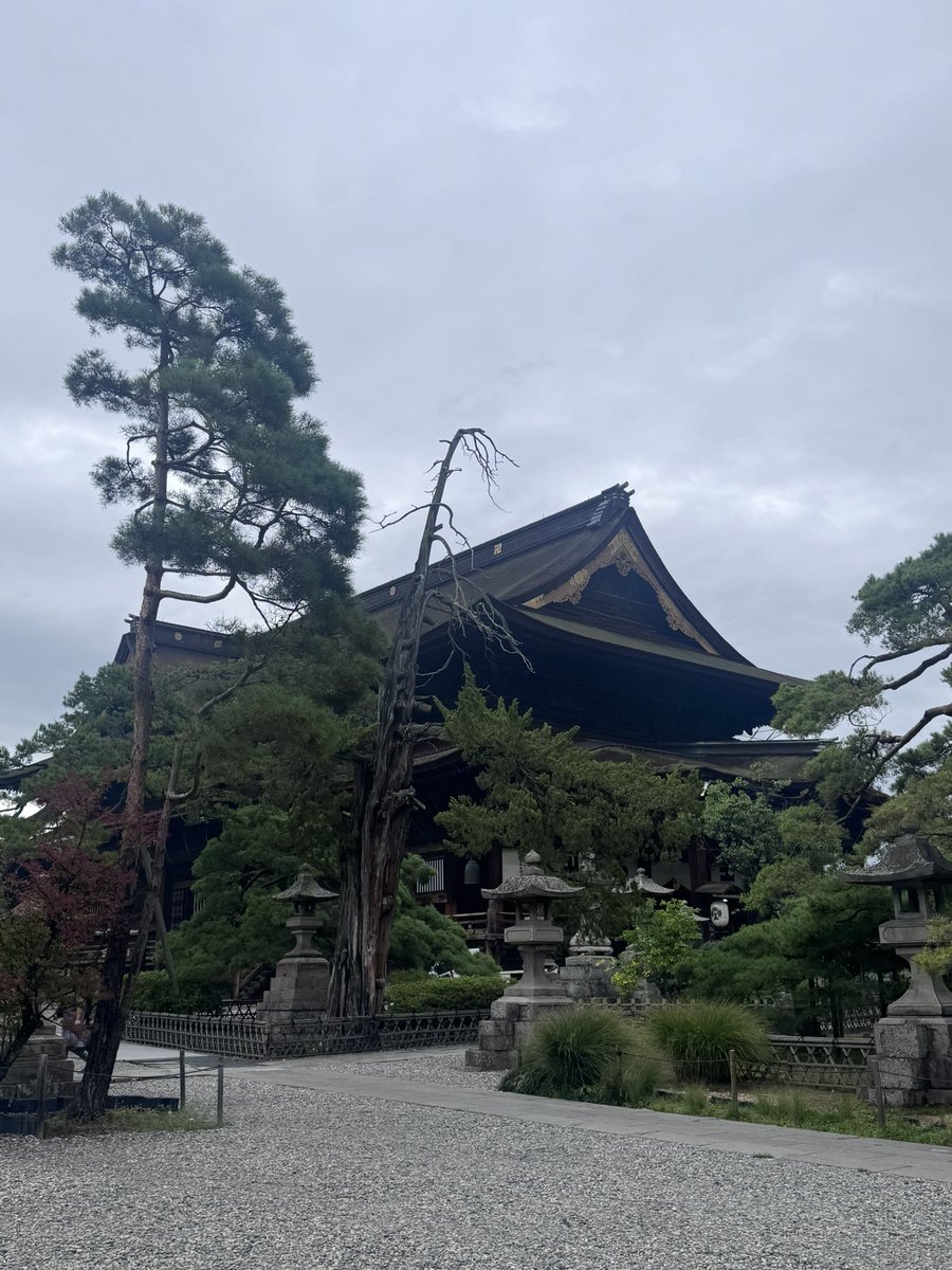pinokichi's tweet photo. 善光寺で夏と秋限定の御朱印も🥰 https://t.co/g39ETiUVZm