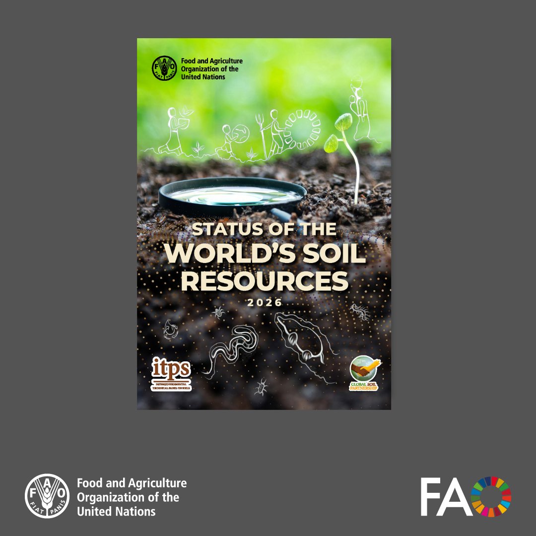 FAOKnowledge's tweet photo. Healthy soils underpin food production, biodiversity and human well-being. But how has the state of the world’s soils changed over the past decade?

Explore the 2026 edition of @FAO’s Status of the World’s Soil Resources for the latest global assessment 👉 https://t.co/RNrwZujvg4 https://t.co/kza5vZ8rSw