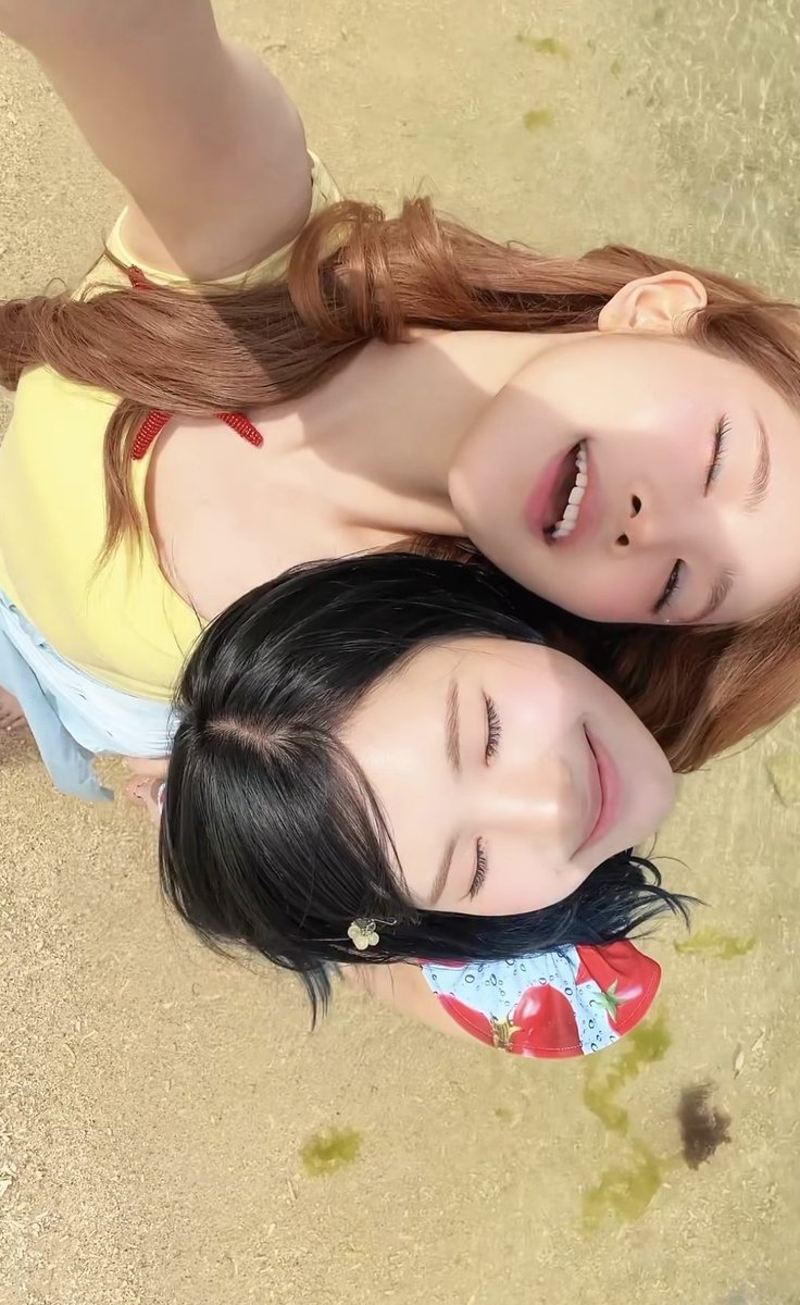 qdpz6's tweet photo. *🐠 ੈ🐡‧₊🐚* ⋆´🪼*⋆｡˚ 🪸 https://t.co/mH9PT5AVJp