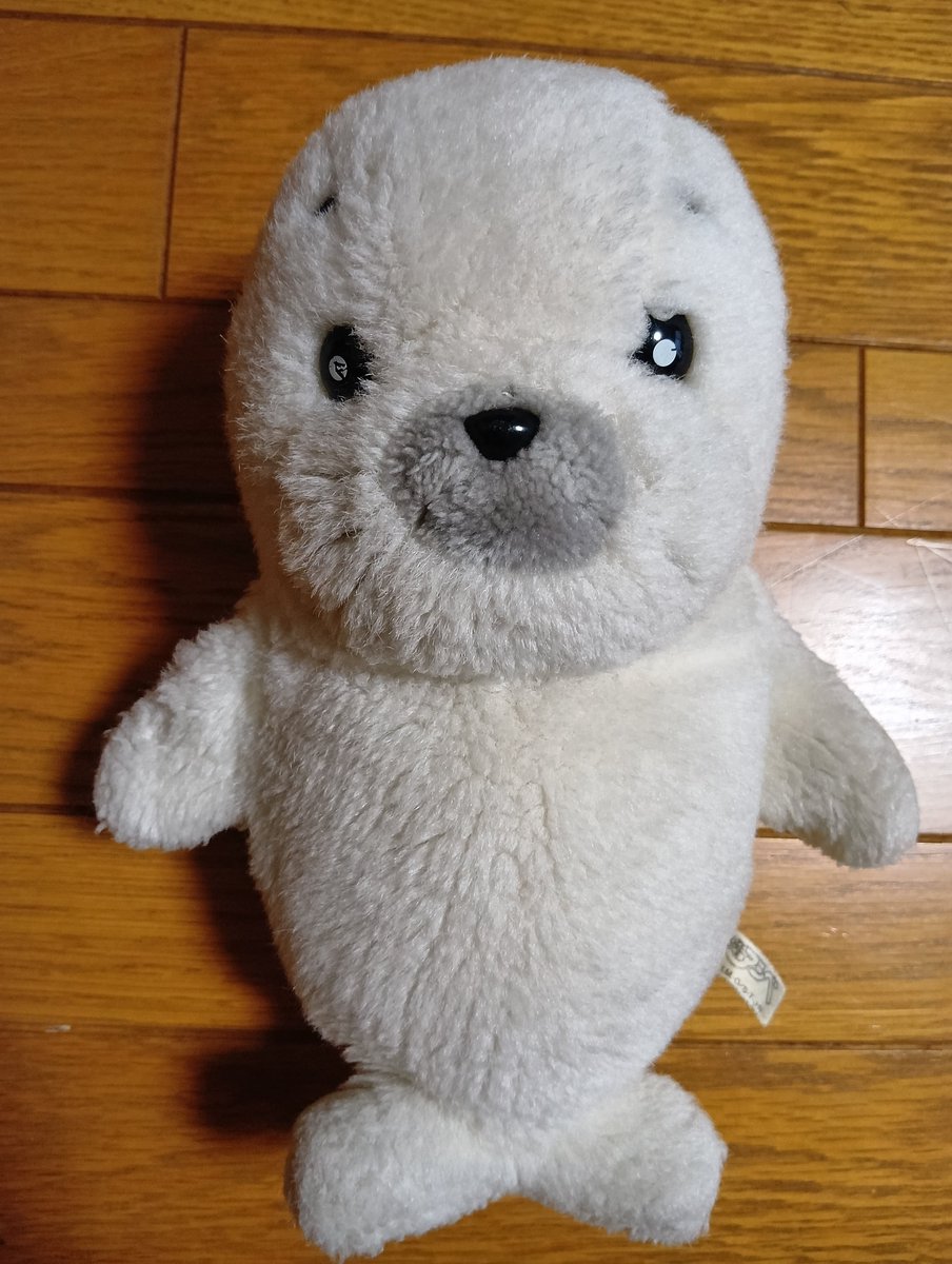 k_green_amnos's tweet photo. お風呂気持ちよかったね😌
一緒に家に帰ろっか！ https://t.co/agQmcd8yks