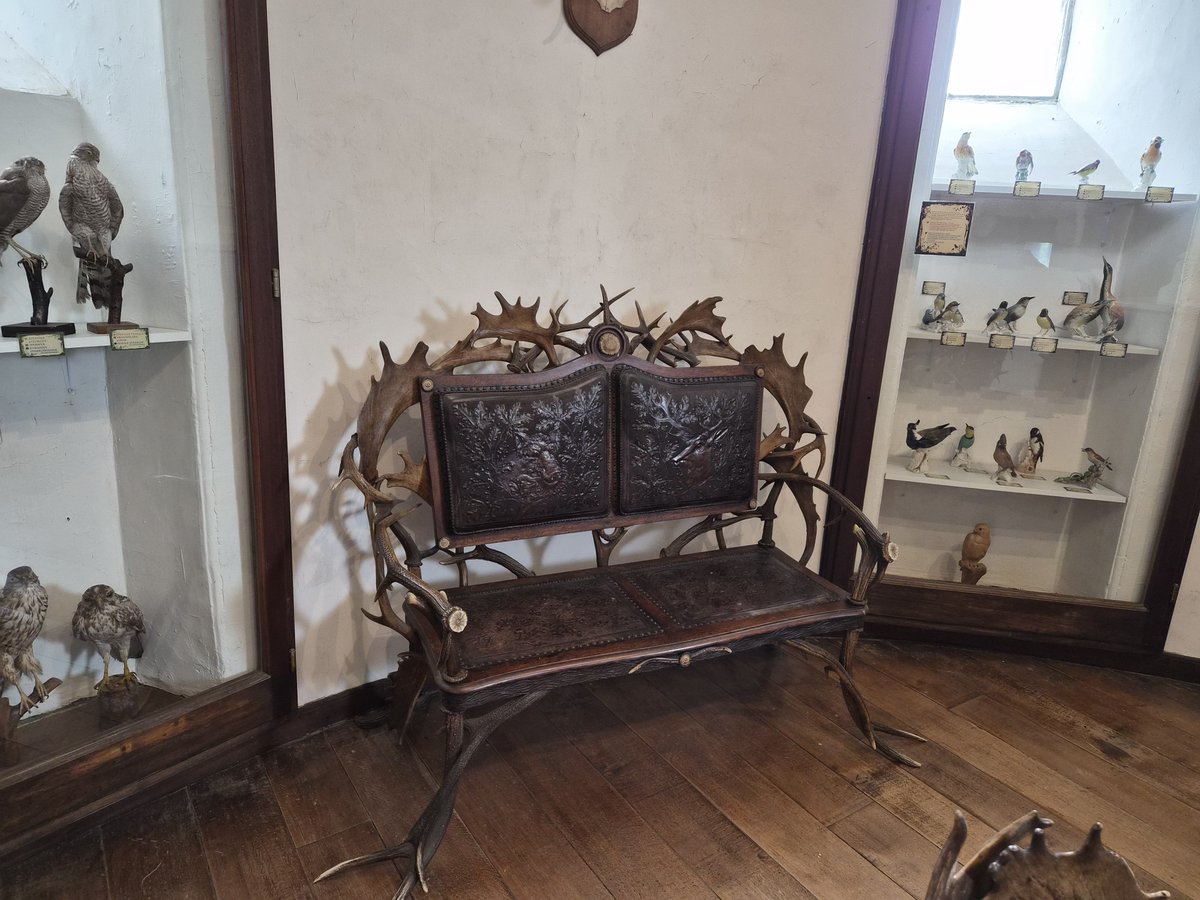 tallbrightflame's tweet photo. THIS BARATHEON ASS ROOM??? https://t.co/WoQ9xAvYnD