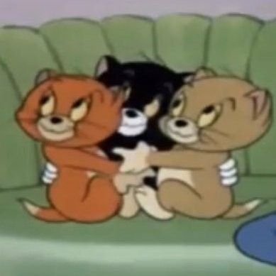 jakegfriend's tweet photo. it's really them😭🧡🖤💛 https://t.co/tEEolFqknq