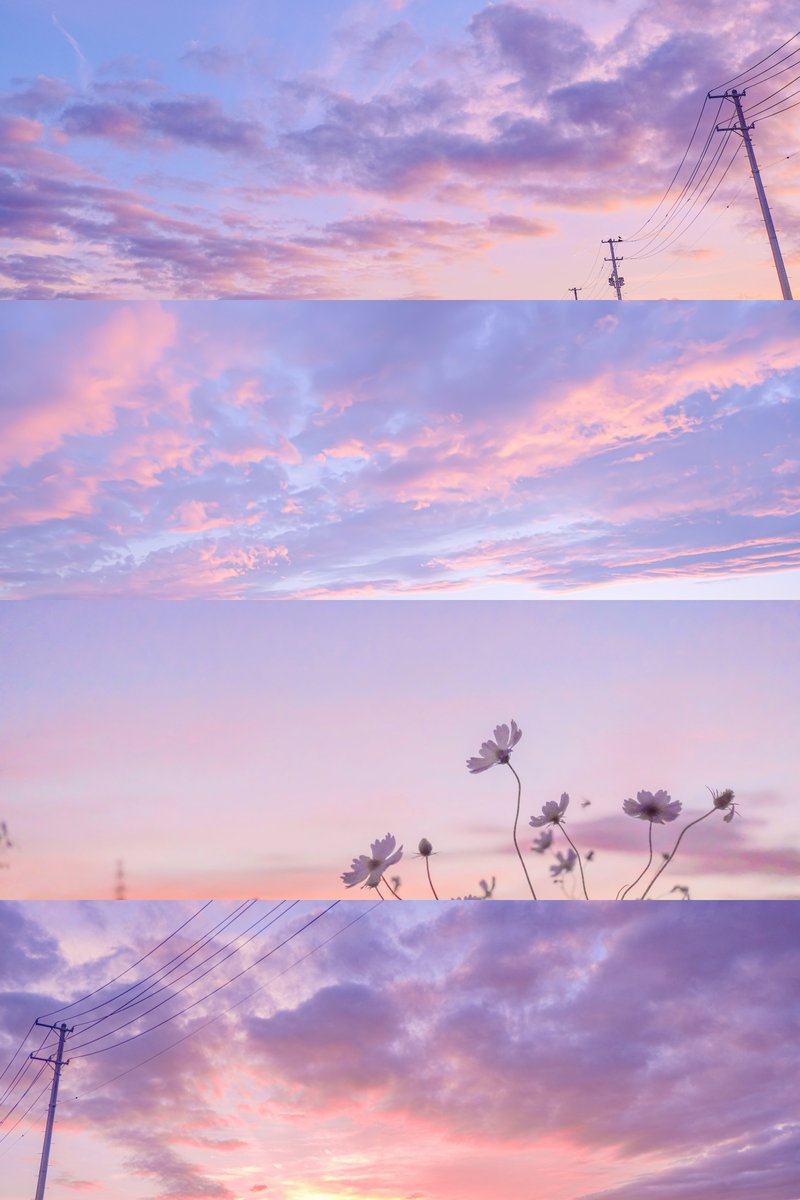 ann_photo05's tweet photo. 優しい夕暮れ。 https://t.co/m54eY2zCUe