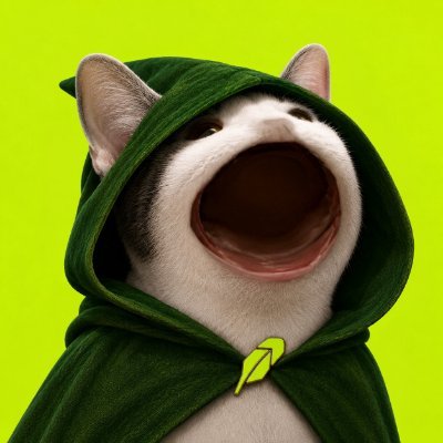 Nefarious12's tweet photo. @diapsalmata_0x RH have 30% supply of Top cat, so ideally its a RH coin https://t.co/9pZAMJ13Sc
