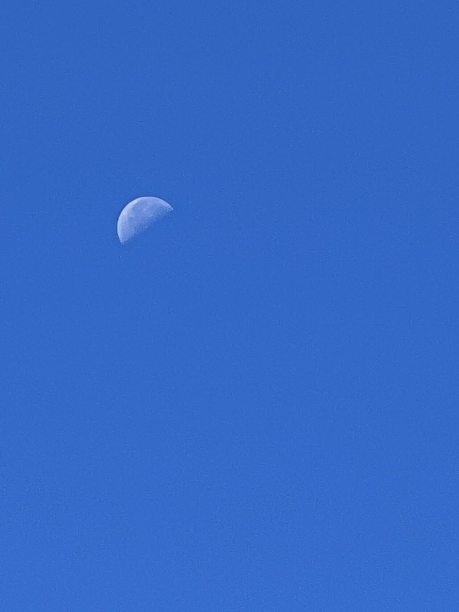 JOOMANGA's tweet photo. La Lune est belle… encore plus fascinante lorsqu’on se demande pourquoi elle est visible en pleine journée ! 🌙☀️ https://t.co/BTk0hkZ1F6