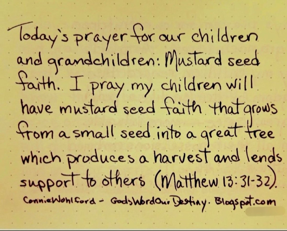 WhiteRabbit1002's tweet photo. May You grow Like an Mustardseed https://t.co/ZBSic3pBo4