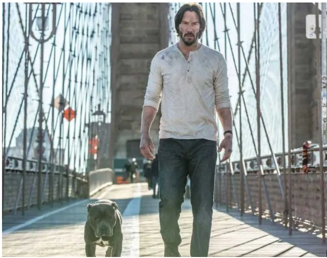 ScreamAloud4's tweet photo. Paging Mr Wick https://t.co/Lm1DiKu9lJ