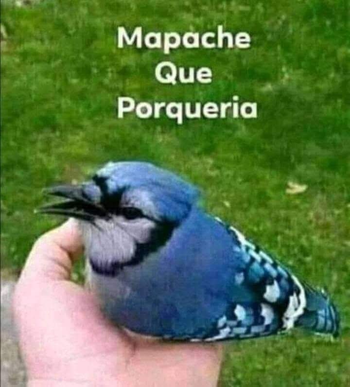 Mathias154066's tweet photo. @Dementhetv C tipo piensa que todo es porno https://t.co/6fqQUmLarC