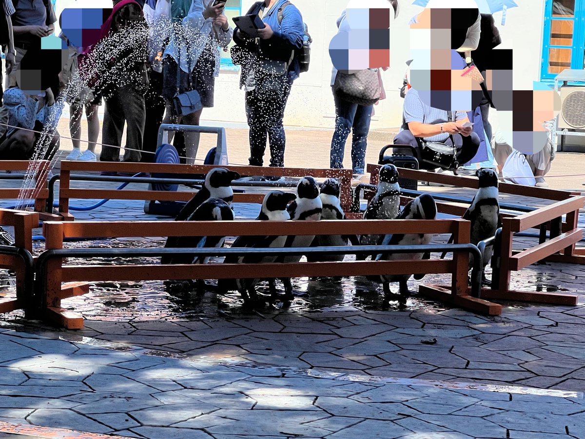 daimai0903's tweet photo. 北海道は水族館良すぎて困る。ここは、本館に入るまでに2時間ほどかかるいい水族館

#登別マリンパークニクス https://t.co/8OvvtCSC39