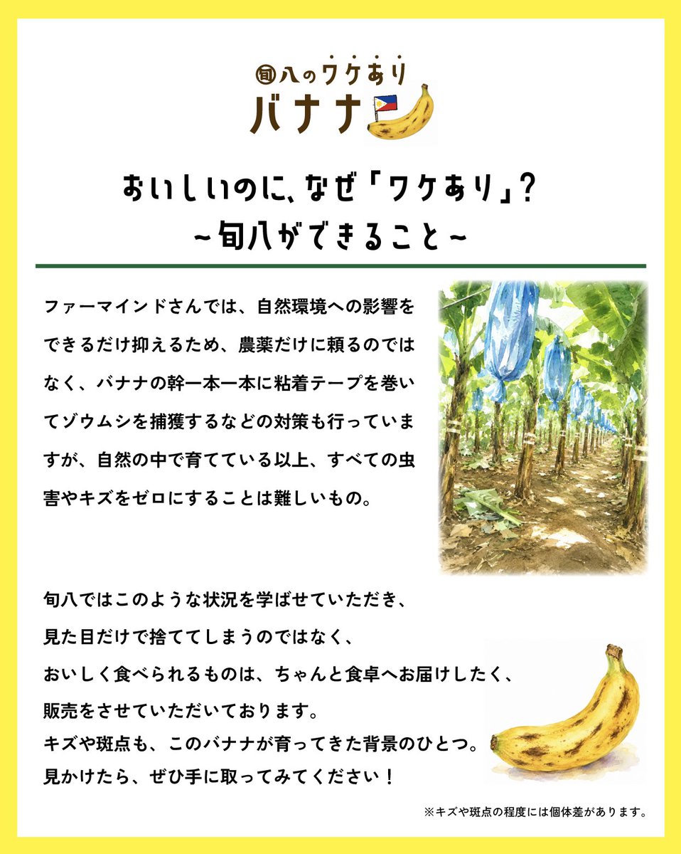 バナナ様 リクエスト 8点 まとめ商品 旬八青果店（ｼｭﾝﾊﾟﾁ） on X: 