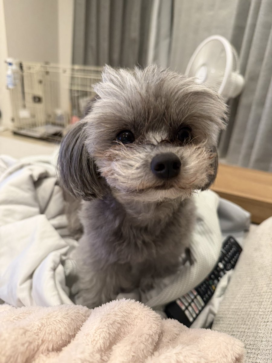 narumi___00's tweet photo. 19:30-TikTok LIVEします〜っ！
みんなきてね💞 https://t.co/lDzY7FxF2L