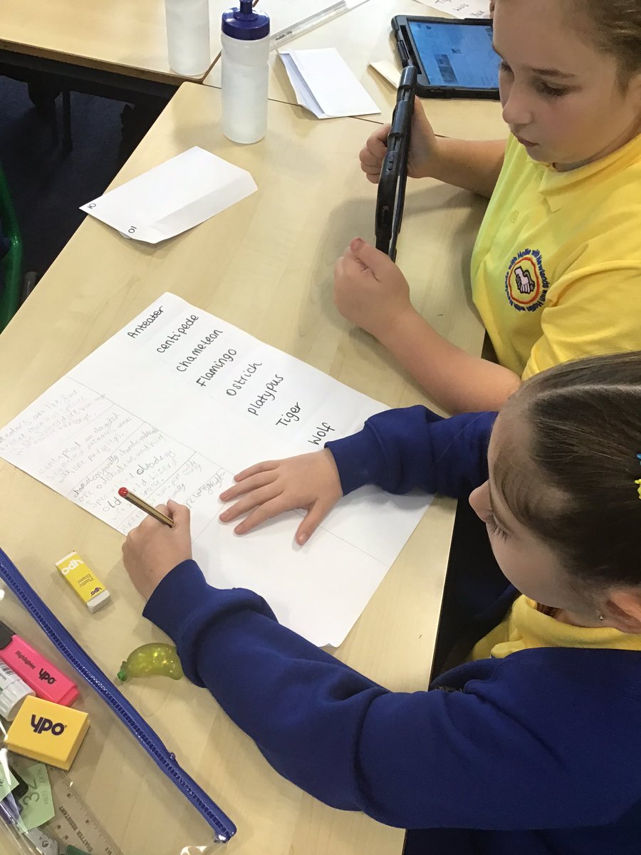Miss4G's tweet photo. In 4GT this morning the children put animals in alphabetical order and did research on iPad to find the definition of each animal @HollinPrimary https://t.co/DbhrauCya1