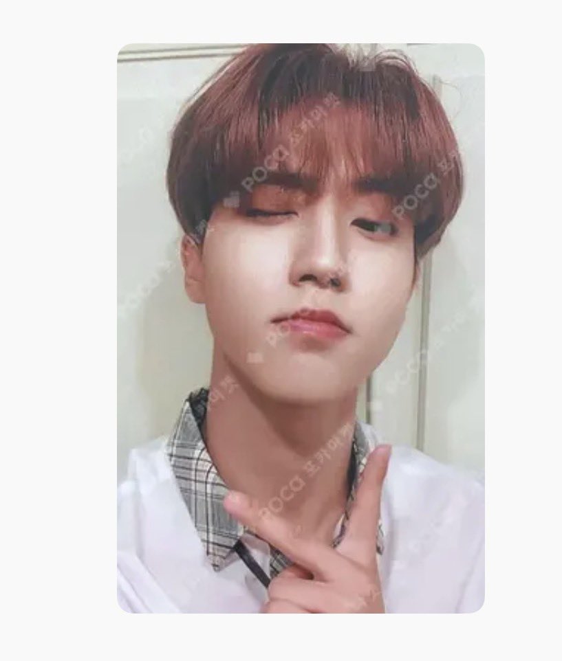 _hanister's tweet photo. 스트레이키즈  한지성 포카양도
6.5 모든인증가능
https://t.co/2T3syfjT2t

스트레이키즈 스키즈 포카 양도 straykids skz
방찬 리노서창빈 황현진 한지성 필릭스 이용복 김승민 아이엔 양정인 아엠낫 아엠유 레반터 바람 고생 오디너리 매니악 크이블 락특에이트합카르마두잇 https://t.co/aSHXRMIqSs