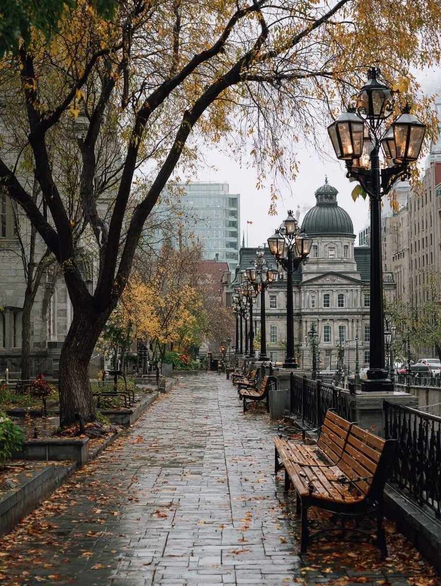 earthviewss1's tweet photo. Rainy Autumn in Montreal, Canada 🇨🇦🍁🌧️ https://t.co/4cy4yOQ1uQ