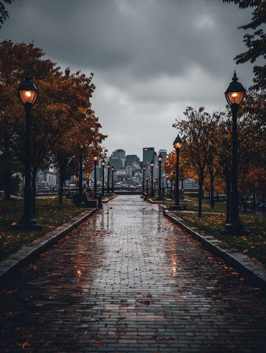 earthviewss1's tweet photo. Rainy Autumn in Montreal, Canada 🇨🇦🍁🌧️ https://t.co/4cy4yOQ1uQ